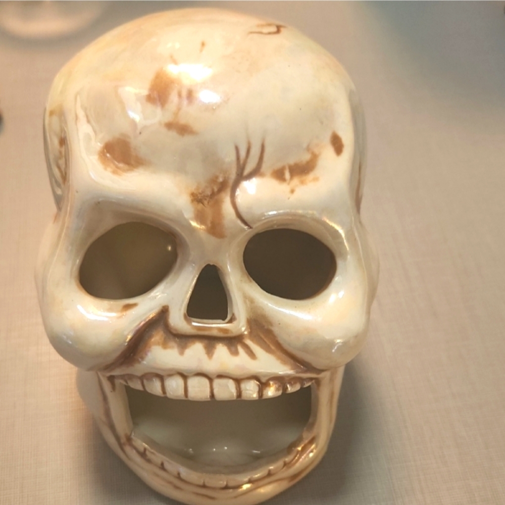 Skull Decor Holder Gothic Halloween Art